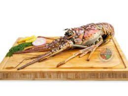 Lobster أم الروبيان