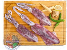 Squid كلماري