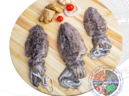 Cattle fish Bigحبار