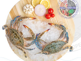 Crab قبقوب