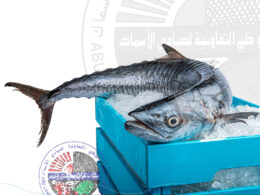 King fish (L) كنعد (Whole fish Approx. 4kg)