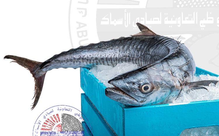King fish (L) كنعد (Whole fish Approx. 4kg) – Freshsamak