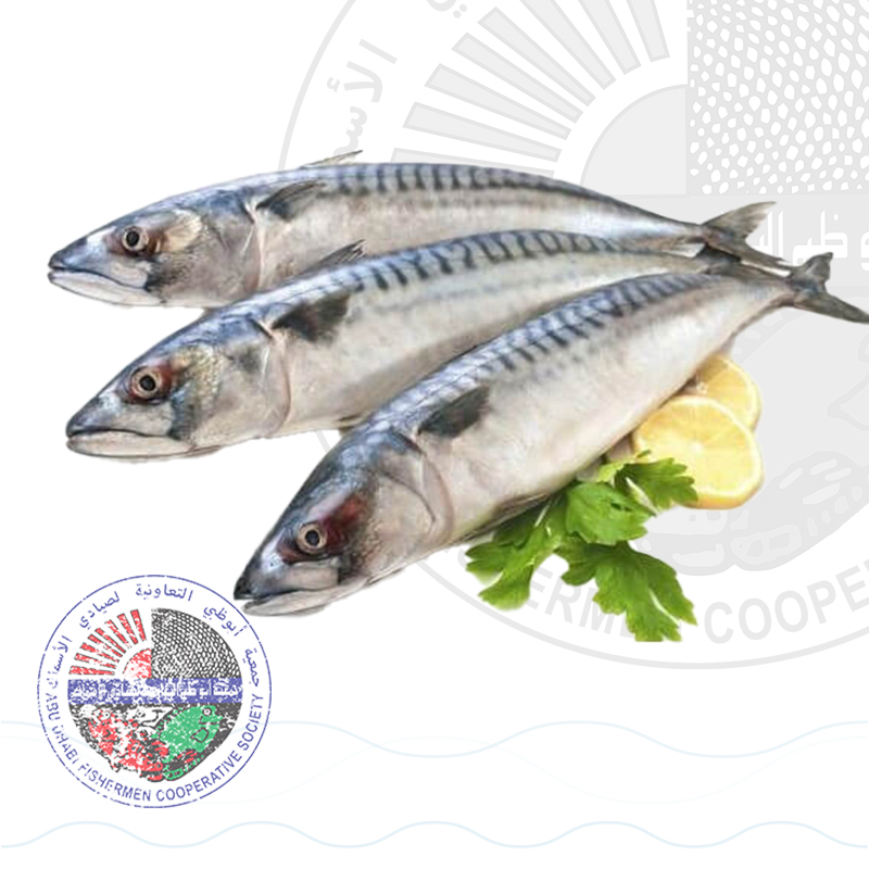 Sardine عومة