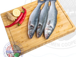 Seabass سي باس