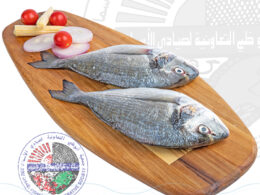 Sea bream سبريم