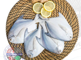 White Pomfret الزبيدي أبيض