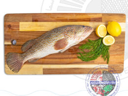 Hamour (M) هامور وسط (Whole fish Approx. 1.5 Kg)