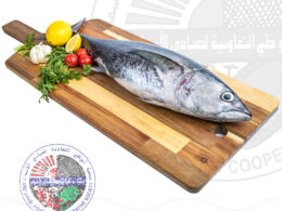 Kubab قباب