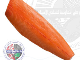 Norwegian Smoked Salmon Whole (1 Pack is 1.5 Kg)
